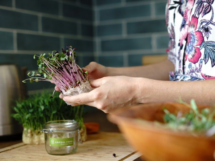 Capsul Farm - Termelj friss zöldséget egész évben otthonod kényelmében!