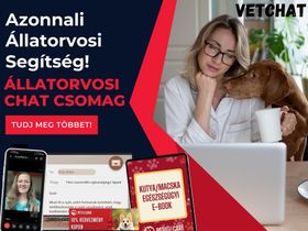 Állatorvosi Chat csomag