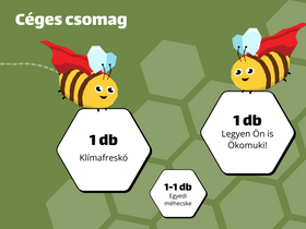 Céges csomag