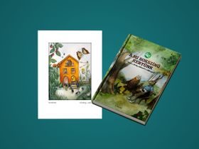 Támogatói csomag