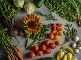 Havi zöldség- és gyümölcskosár (5 fő részére)