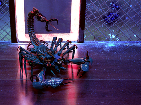 Novemberi Exklúzív belépőjegy