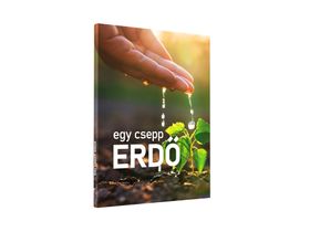 Egy csepp ERDŐ - Super Early bird