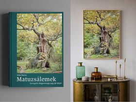 Matuzsálemek fotóalbum és limitált fine art print keretezve