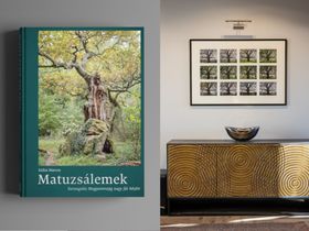 Matuzsálemek fotóalbum és exkluzív fine art print keretezve