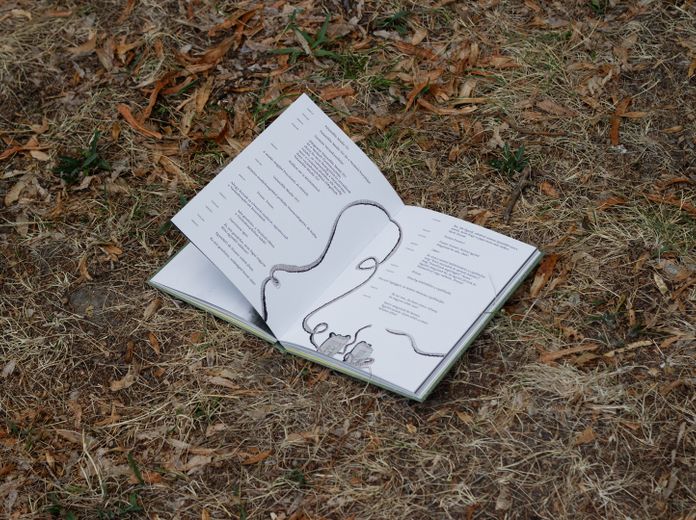 A háromfejű király - Az első magyar gyerekdráma mesekönyv