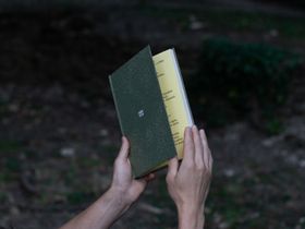 Könyv + 5 db art print