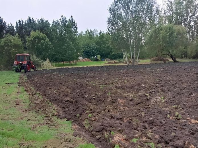 Mozgásba hozzuk a tavaszt- a Harascsák Tulipánfarmon