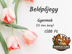 Gyermek belépőjegy