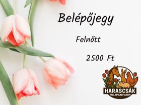 Felnőtt belépőjegy
