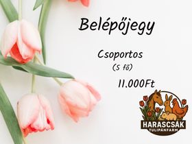 Csoportos belépőjegy