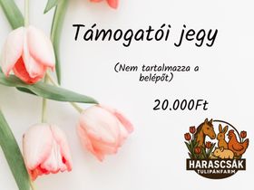 Támogatói jegy
