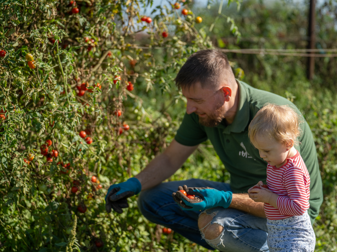 Hazai, vegyszermentes zöldségek a MyFarm kertjeiből