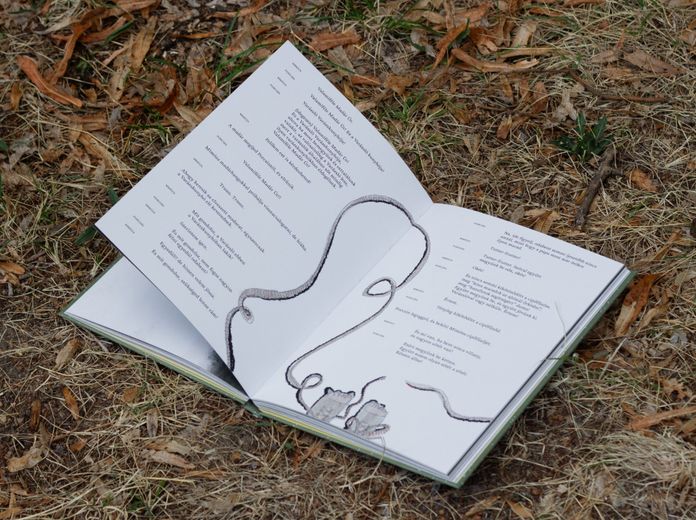 A háromfejű király - Az első magyar gyerekdráma mesekönyv