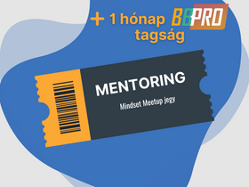 Mentoring jegy