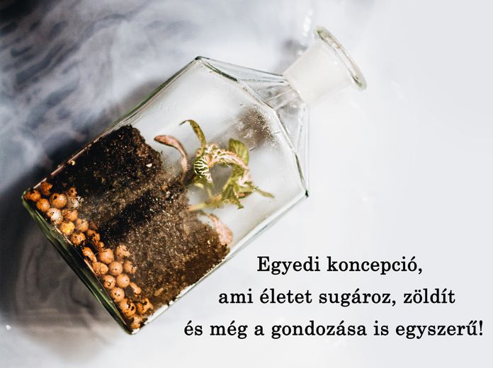 Tedd zöldebbé az irodádat minimális gondozást igénylő LaFlorArt lombikokkal!